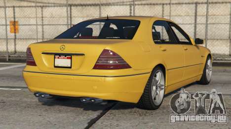 Mercedes-Benz S 55 AMG (W220) Meat Brown