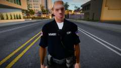 Winter Sfemt1 для GTA San Andreas